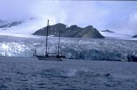 [Sūla Tromsoēnsis]