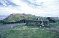 [domus Vīkingōrum]