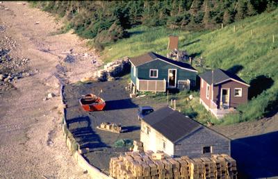 [lītus Terrae Nouae]