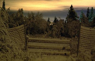 [silua hiemis, Osloae]